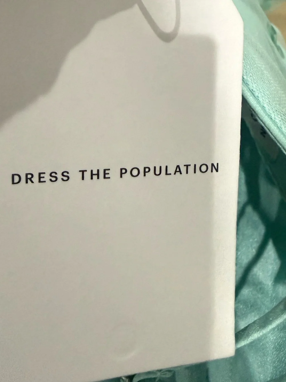 Dress the Population Mint Green Spaghetti-Strap Embroidered Midi Dress - Picture 2 of 7